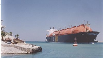 منظمة ARGUS العالمية: