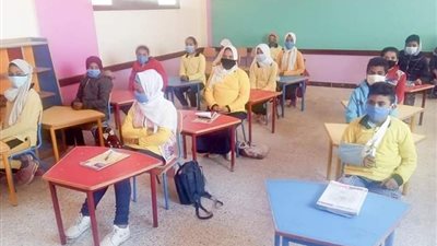 برنامج تعليمى لتنمية مهارات تلاميذ الإبتدائية فى الوادى الجديد