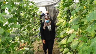 وكيل تعليم القليوبية تتفقد مدارس إدارة كفر شكر 