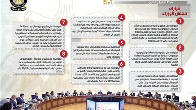 قرار تعليمي وحافز يتصدر ان حصاد مجلس الوزراء 