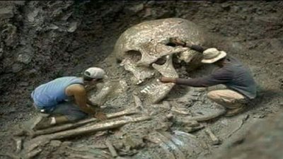 القطاعات العلمية المختلفة.. هدف آخر للأخبار الكاذبة 