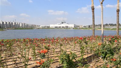 وزير الإسكان يتفقد اللمسات الأخيرة للانتهاء من تنفيذ مشروع تطوير 