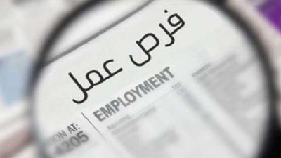 التقديم مفتوح .. وظائف خالية من القوى العاملة للمؤهلات العليا والمتوسطة
