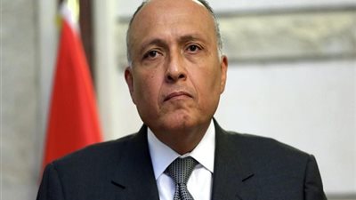 سامح شكرى يكشف عن سيناريوهات مصر للتعامل مع سد النهضة