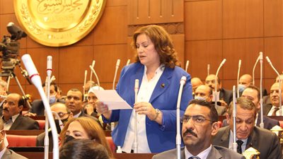 النائبة عايدة نصيف:  تطبيق نظام التابلت أدي إلي حدوث غش جماعى وعدمعدم تحقيق العدالة بين الطلاب