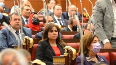 النائبة أمل رمزي: تجربة نظام التعليم الجديد أثبتت عدم كفاءة تطبيقها  