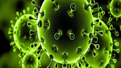 تحذير عاجل للمواطنين..  مصر تصل لذروة الموجة الثالثة من فيروس كورونا خلال 10 أيام القادمة