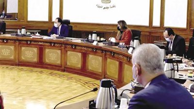  محمود الهجاني : استثناء 5 فئات من العاملين بالدولة من إجازة الأحد المقبل