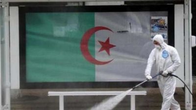 تسجيل 273 إصابة جديدة بفيروس كورونا في الجزائر