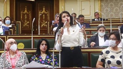  النائبة إيريني سعيد تتقدم بتعديل لبعض مواد قانون شروط شغل الوظائف حفاظا على حقوق العاملين بالدولة 