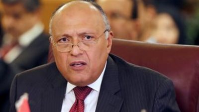  وزير خارجية : الانتهاكات التي تقوم بها إسرائيل لم تتوقف عند أسوار المسجد الأقصى