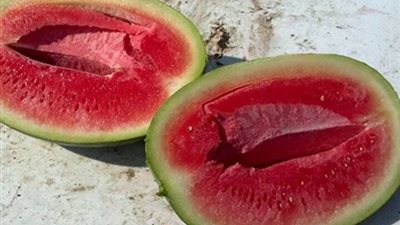 رد وزير الزراعة على أنباء انتشار 