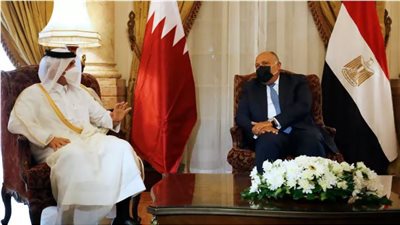 وزير وزير الخارجية القطري يقدم الشكر لمصر على جهودها لوقف إطلاق النار بغزة