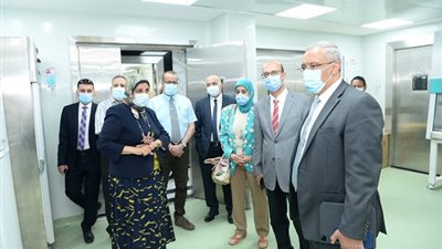 التعليم العالي: دعم المشروعات البحثية بجامعات الصعيد