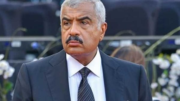 هشام طلعت مصطفى 