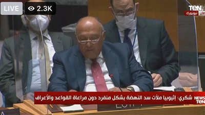 عاجل.. سامح شكري : لو لم يجبر مجلس الأمن إثيوبيا على التوقف عن الملء المنفرد للسد  فأن مصر ستضطر لاتخاذ الاجراءات الازمة لحماية مقدرات وجودها  