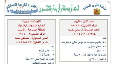 عاجل| القوى العاملة تعلن عن توفير فرص عمل بمرتبات تصل لـ 15 الف جنيه.. ننشر التفاصيل