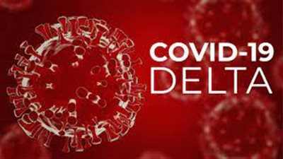 عاجل| منظمة الصحة العالمية:  كورونا 