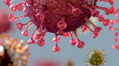 كوريا الجنوبية : 1842 إصابة جديدة بفيروس كورونا 