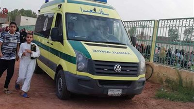 عاجل.. ننشر تفاصيل التقرير الطبى الخاصة بشأن وفاة الطالبة منار  ضحية 