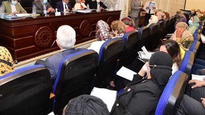 لجنة التعليم بمجلس النواب تناقش المشكلات التي تواجه أصحاب المدارس الخاصة.. منها التحويل للمدراس الحكومية