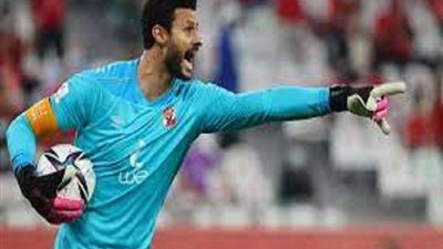 صحيفة برازيلية: التغلب على محمد الشناوى = العبور لنصف نهائى البطولة