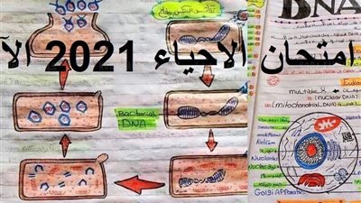 عاجل.. أول صورة لتسريب أسئلة امتحان الأحياء لطلاب الثانوية العامة
