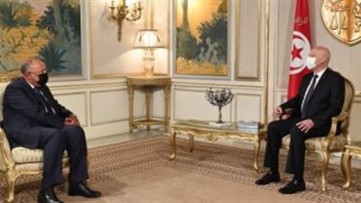 وزير الخارجية:  كل إمكانيات مصر مسخرة لدعم الشعب التونسى 