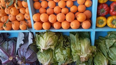 تعرف علي أسعار الخضروات والفاكهة اليوم الجمعة 6-8-2021