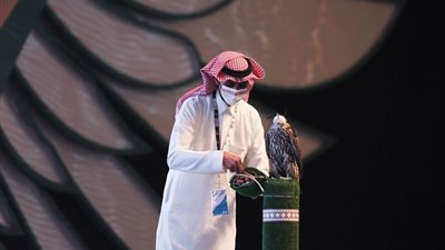 جيل جديد من الصقور في مزاد دولي بالسعودية