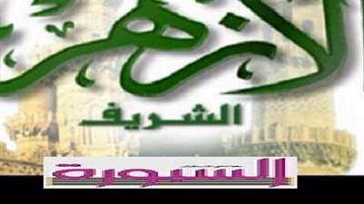 معلمو الازهر بالخارج : تطبيق السنوات الانتقالية بأثررجعي يدخلنا السجون ..والدستور مظلتنا