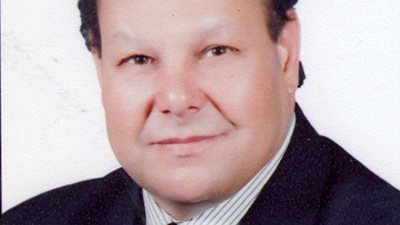 الدكتور منير حسن  يكتب ..لتحيا مصر ..هيا نحارب الفاسدين