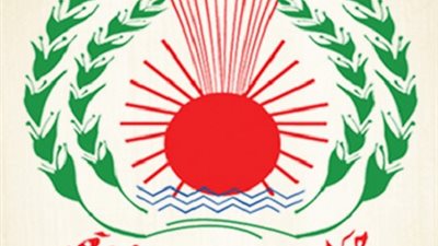 ننشر خطوات التسجيل في دورات المراجعة الخارجية بجامعة المنصورة