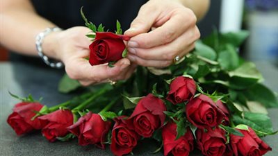 12 معلومة غريبة عن 