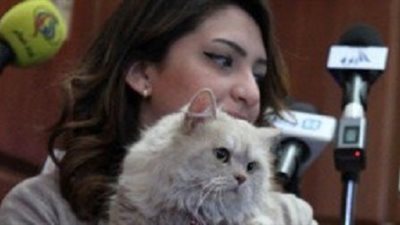 بالصور ..االذهب ينقذ حياة القط 