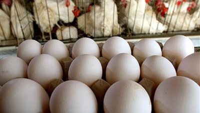 دراسة:البيض يحسّن الحالة المزاجية ويقلل العنف والعدوانية