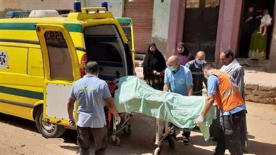 هيئة الأسعاف بالجيزة: الخدمات 