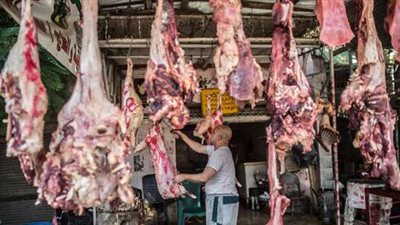 رئيس الشركة القابضة يعلن خبر سار بشأن اللحوم الحمراء