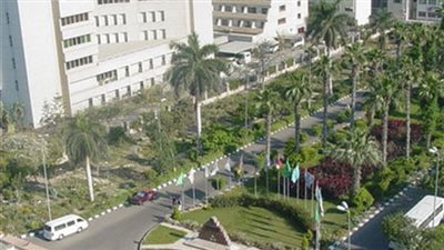 جامعات مصر للعلوم والتكنولوجيا والمنصورة والجامعة الإسلامية السعودية تعلن عن وظائف جديدة شاغرة لأعضاء هيئة التدريس.. ننشر نص الإعلان