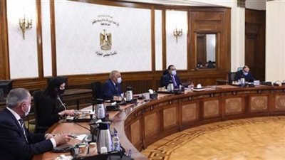 عاجل.. مجلس الوزارء يصدر قرارا هاما بشأن 