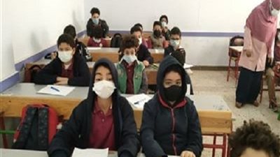 الدروس المحذوفة من منهج اللغة العربية للصف السادس الابتدائى