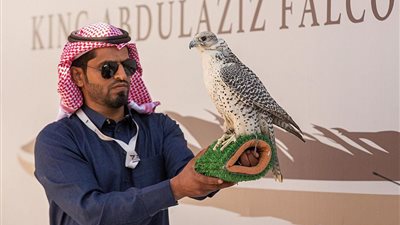 اختيار أجمل 6 صقور في أكبر مهرجان عالمي بالسعودية 