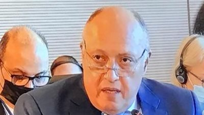 وزير الخارجية :العلاقات بين مصر والكويت ضمانا للاستقرار الإقليمي