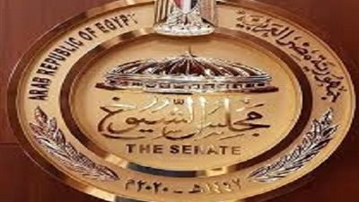 عاجل .. منح علاوة سنوية دورية لجميع العاملين بالدولة لا تقل عن 3% 