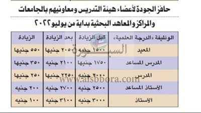 لا للزيادة الهزيلة.. أساتذة الجامعات يرفضون الزيادة الأخيرة لحافز الجودة: 