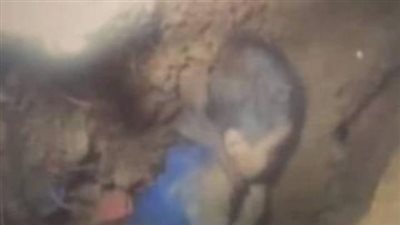  فريق انعاش يتحرك لإنقاذ الطفل المغربي ريان 