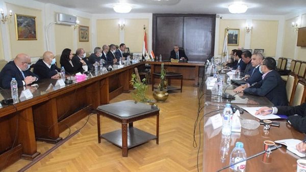 الدكتور على المصيلحى