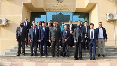 التعليم العالي: 