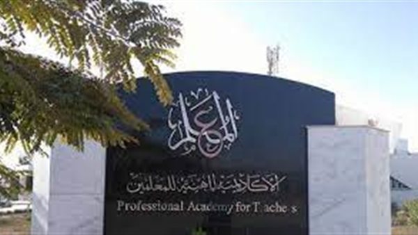 الاكاديمية المهنية