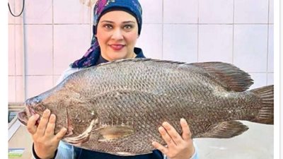  التجارة شطارة..  «أماني» من التدريس لبيع الفسيخ